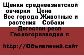 Щенки среднеазиатской овчарки › Цена ­ 20 000 - Все города Животные и растения » Собаки   . Дагестан респ.,Геологоразведка п.